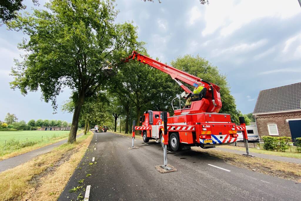 Gevaarlijke afgebroken tak door brandweer verwijderd
