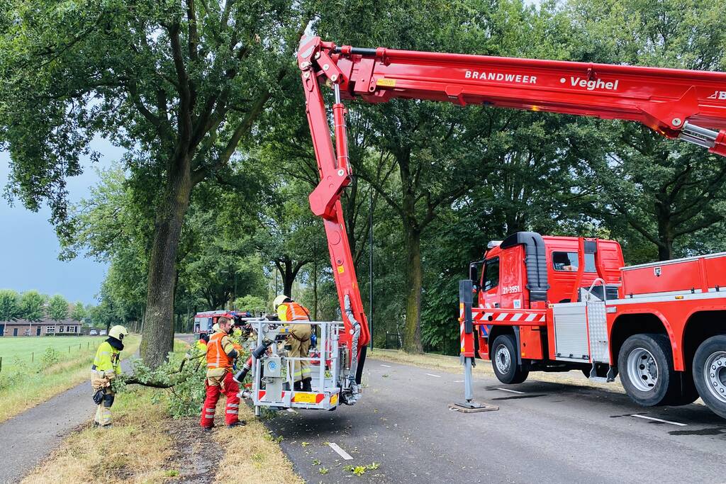 Gevaarlijke afgebroken tak door brandweer verwijderd