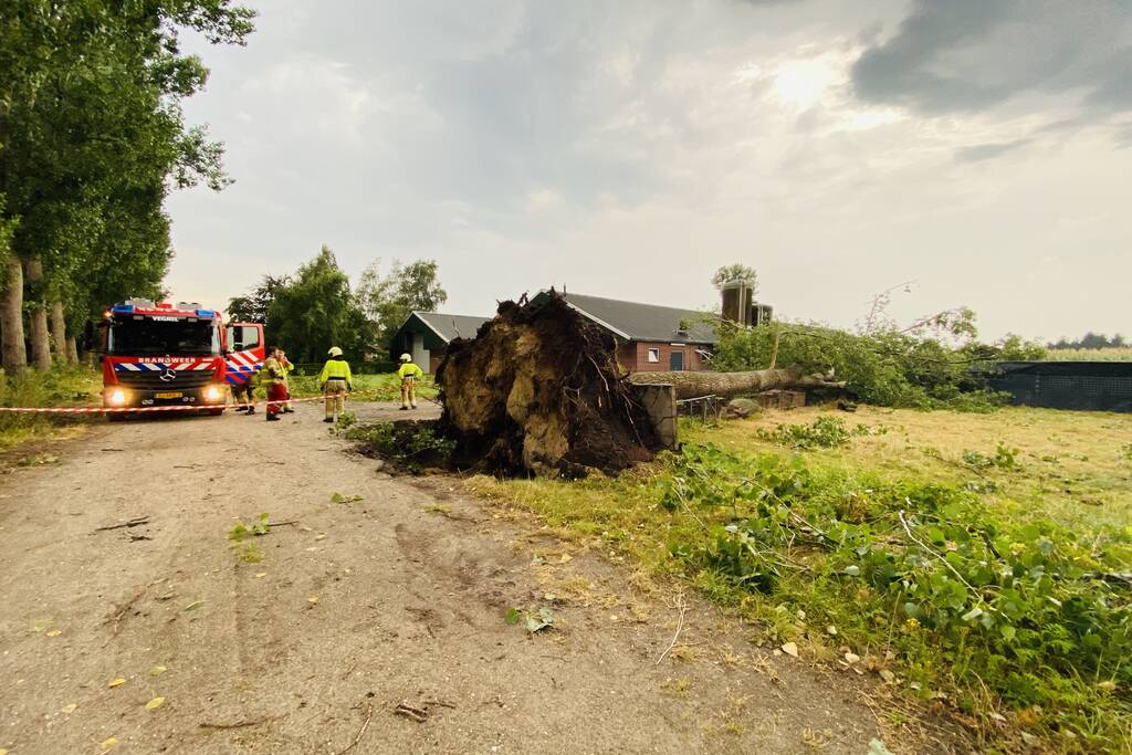 Meerdere bomen om gewaaid bij noodweer