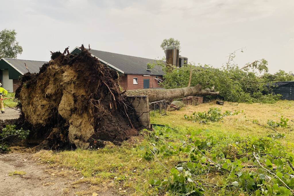 Meerdere bomen om gewaaid bij noodweer