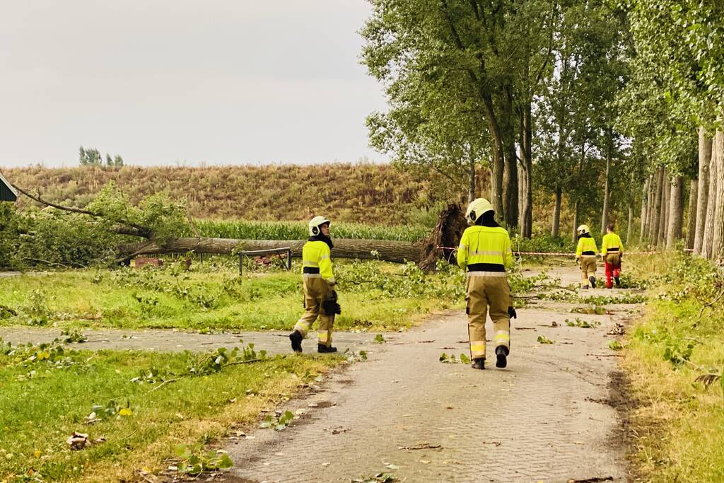 Meerdere bomen om gewaaid bij noodweer