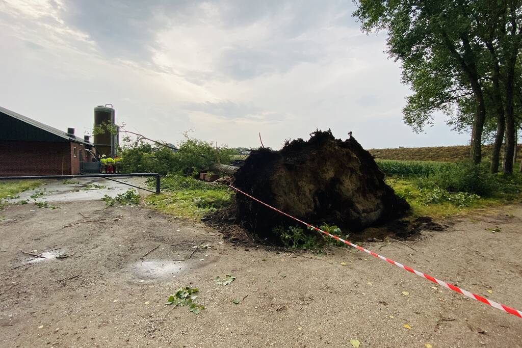 Meerdere bomen om gewaaid bij noodweer