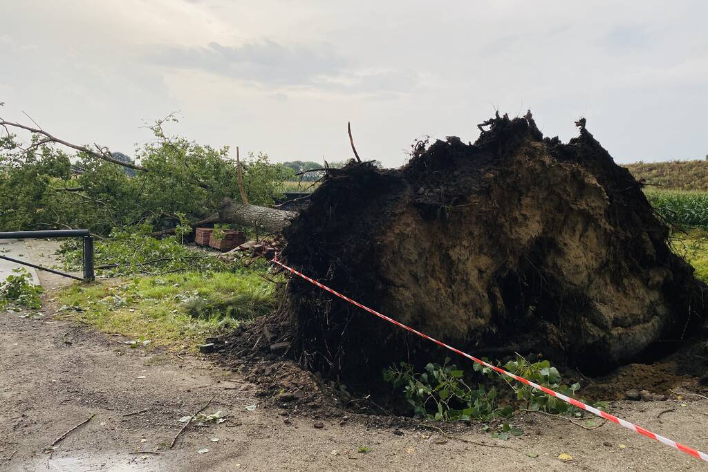 Meerdere bomen om gewaaid bij noodweer