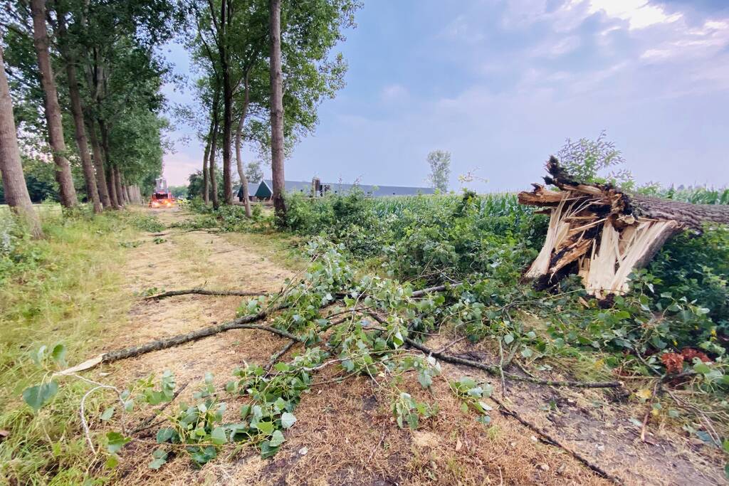 Meerdere bomen om gewaaid bij noodweer