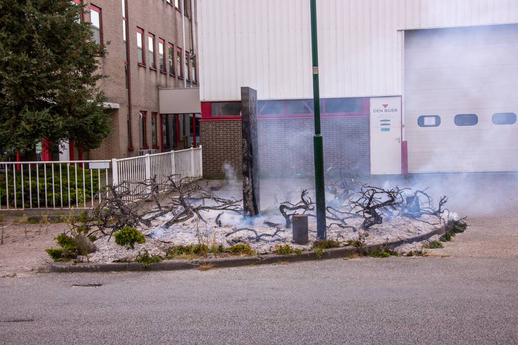 Onkruidbrander zet perk in de brand