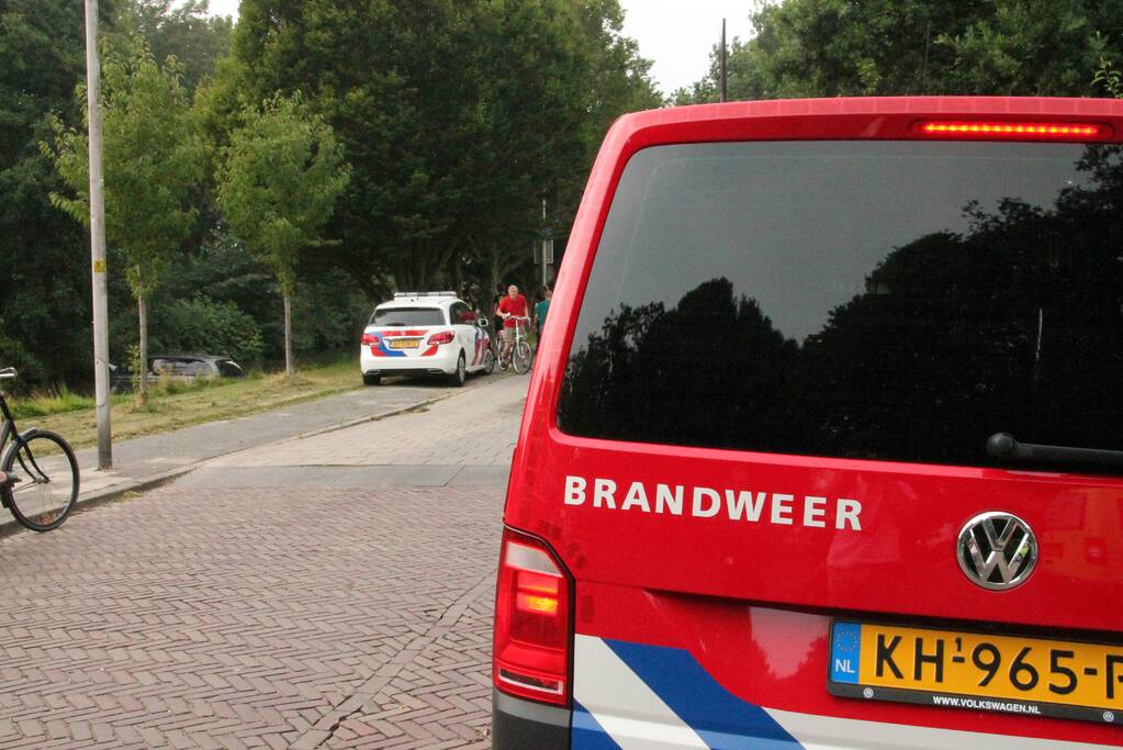 Automobilist raakt met auto van de weg en belandt in sloot