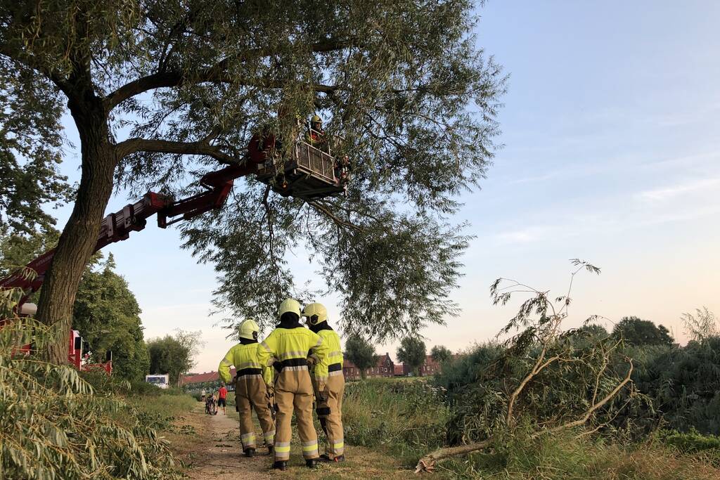 Gevaarlijk hangende tak boven wandelpad