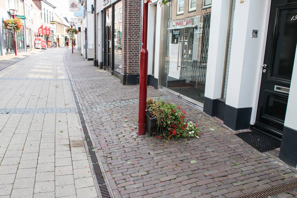 Vernielingen in centrum