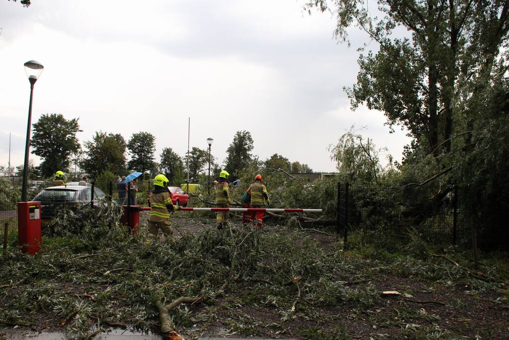Wilgenboom belandt op meerdere auto's
