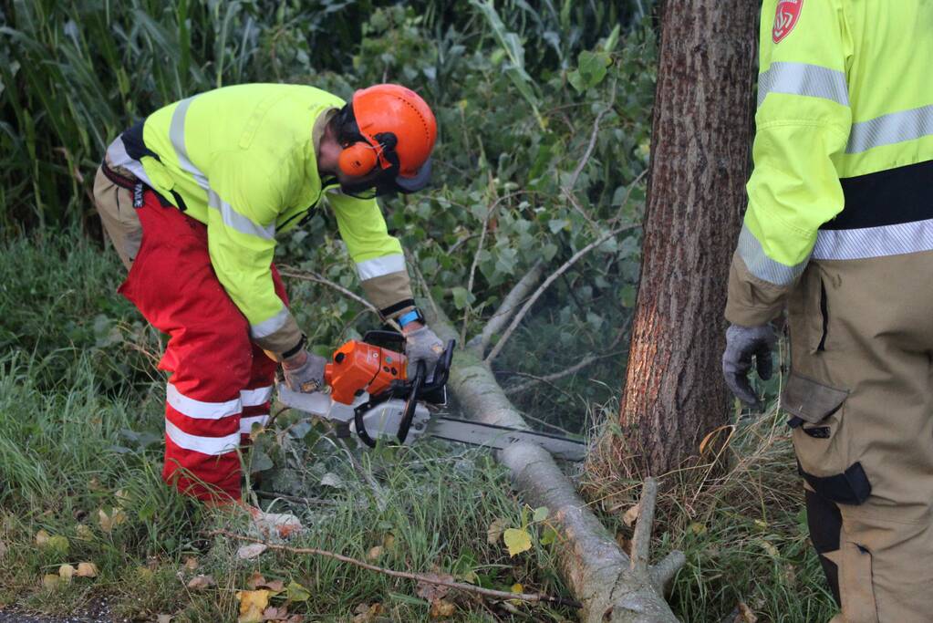Boom waait om en beschadigt maisveld