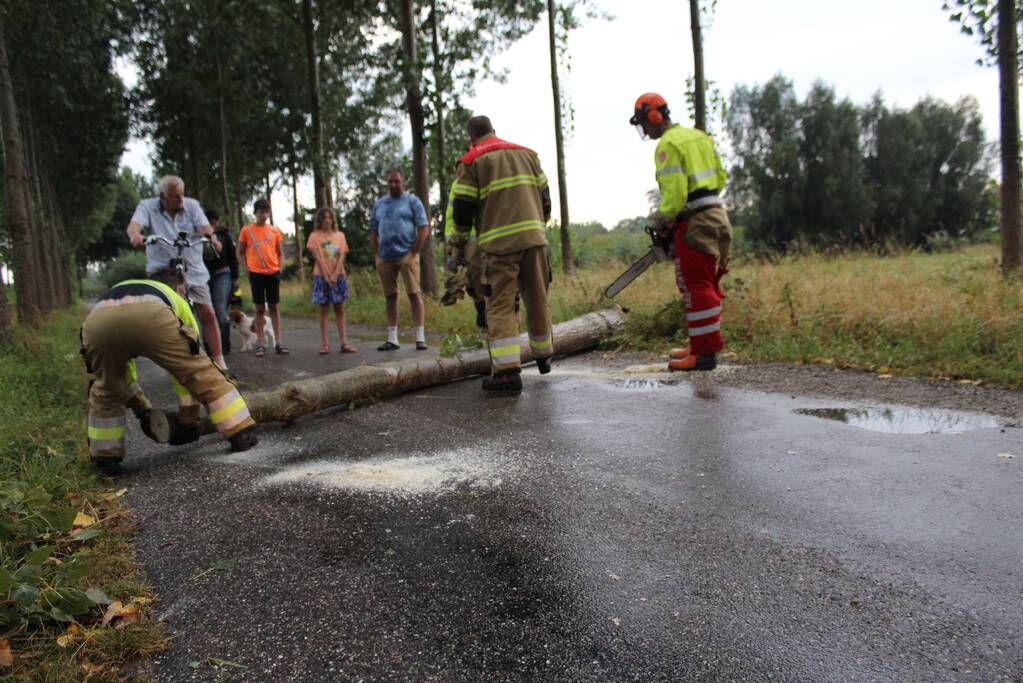 Boom waait om en beschadigt maisveld