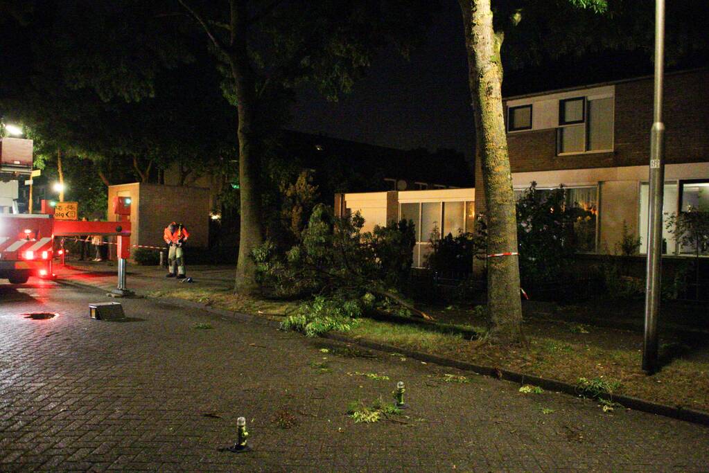 Meerdere takken breken af na blikseminslag in boom