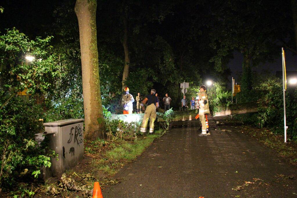 Boom valt om op fietspad