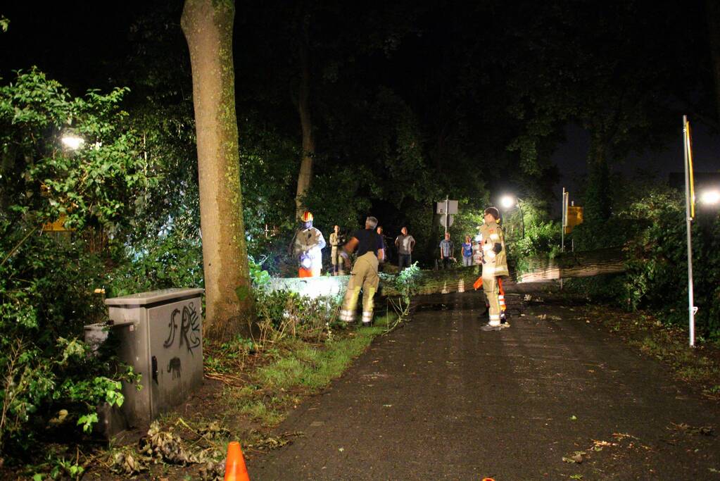 Boom valt om op fietspad