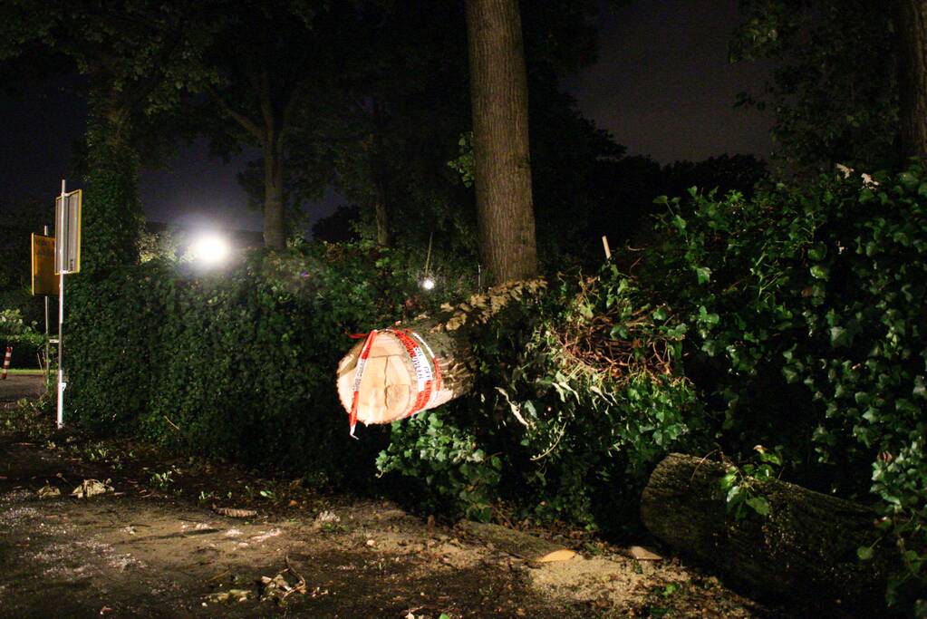 Boom valt om op fietspad