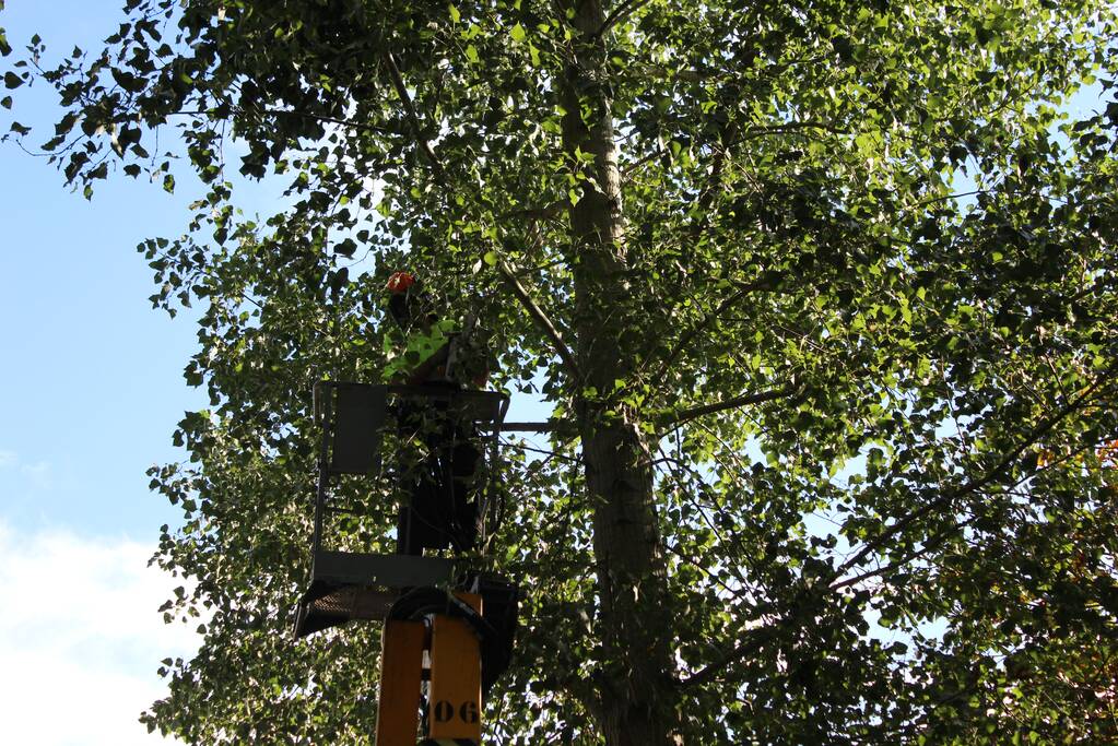 Top van boom breekt af en komt gevaarlijk boven de weg te hangen