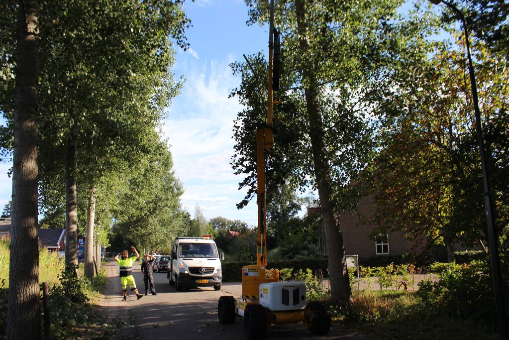 Top van boom breekt af en komt gevaarlijk boven de weg te hangen