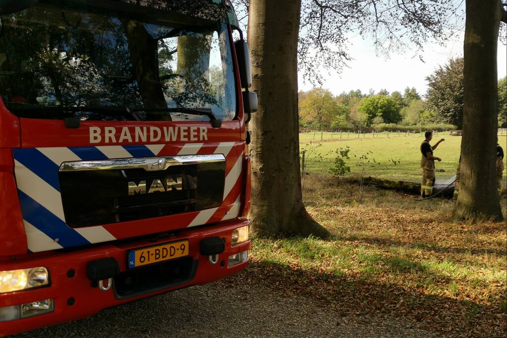 Oude boomstronk vliegt in brand