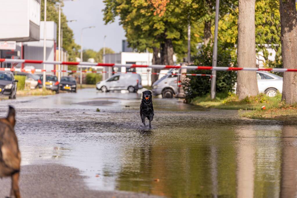 Waterpret na gesprongen waterleiding