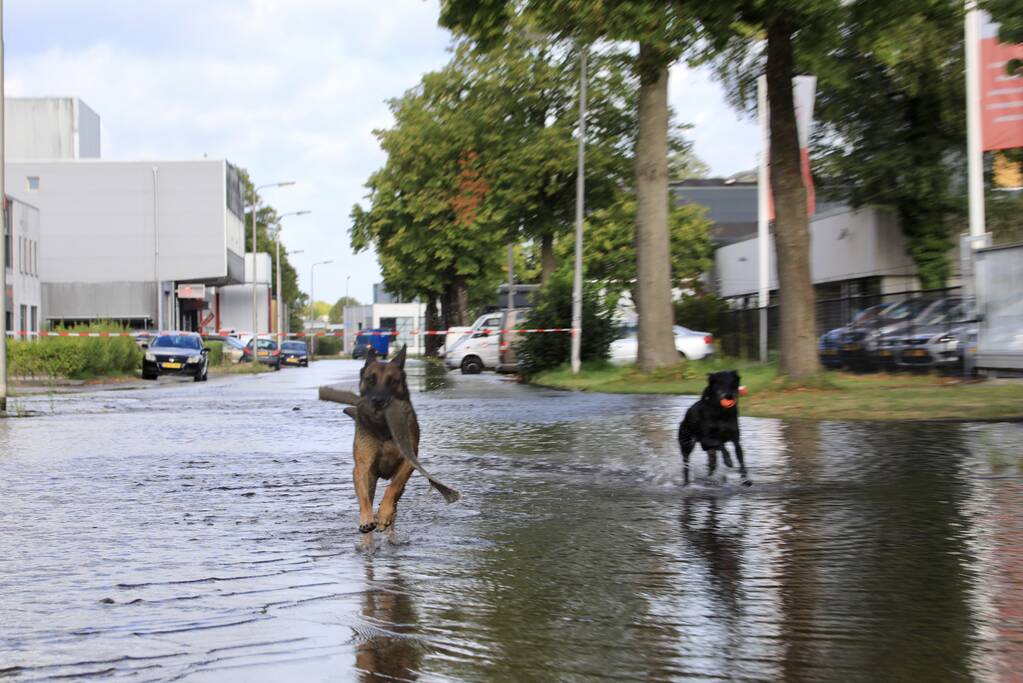Waterpret na gesprongen waterleiding