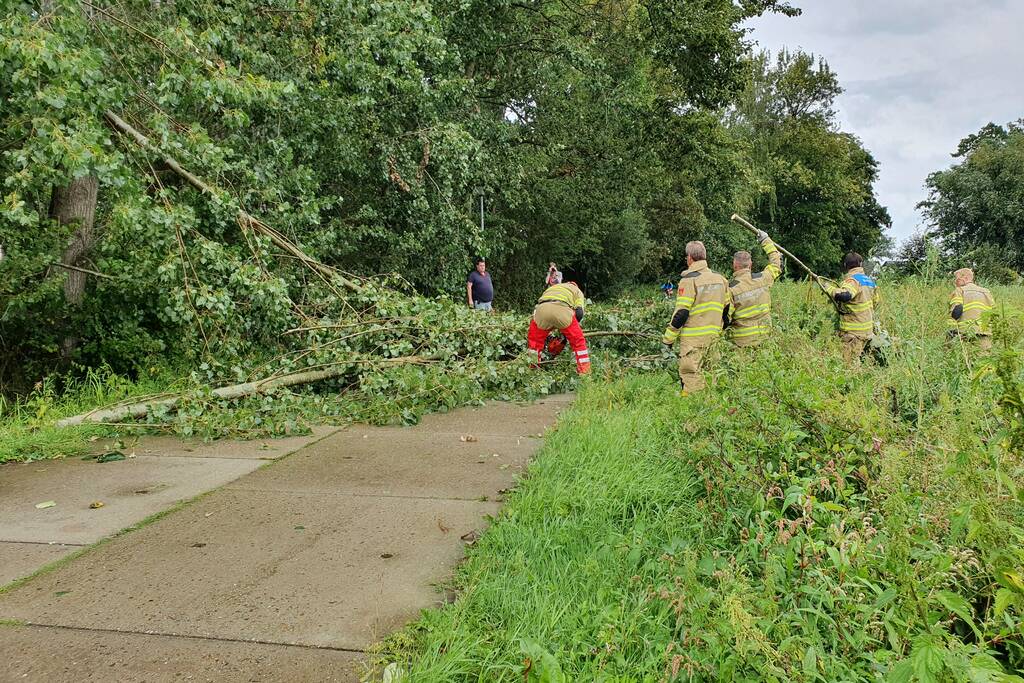 Afgebroken boom verspert fietspad