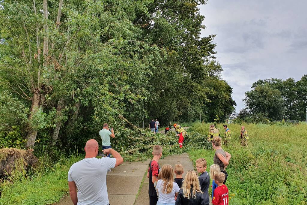 Afgebroken boom verspert fietspad