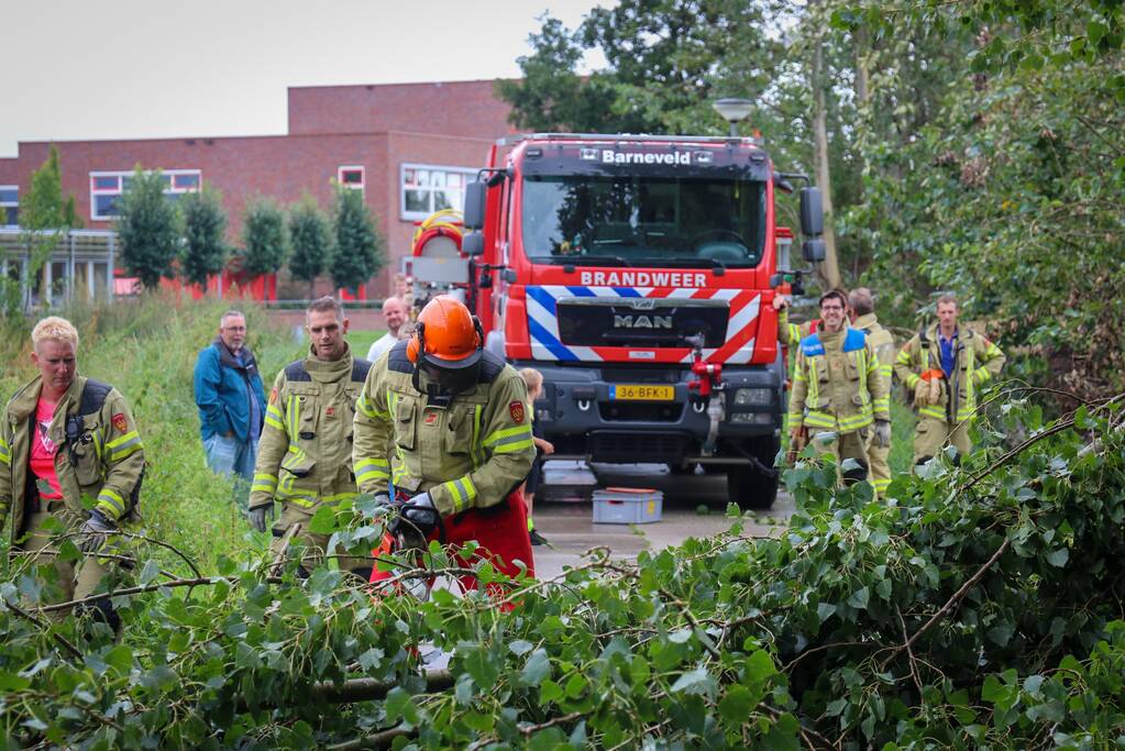 Afgebroken boom verspert fietspad