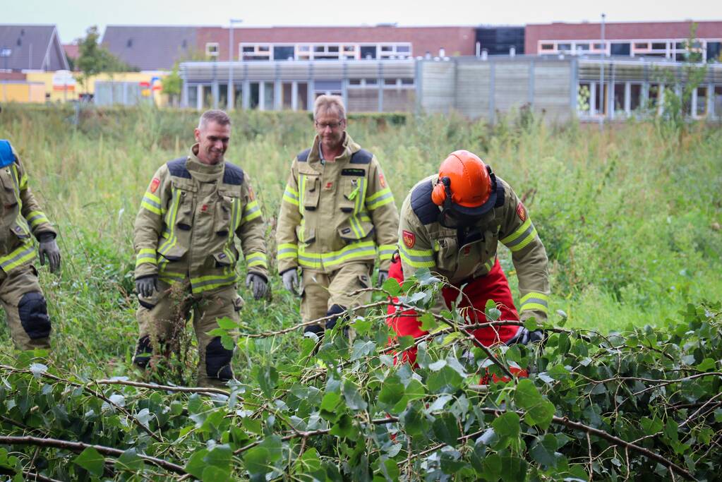 Afgebroken boom verspert fietspad