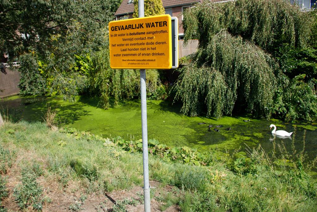 Botulisme aangetroffen in vijvers in Schothorst