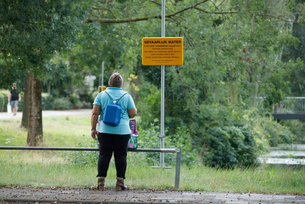 Botulisme aangetroffen in vijvers in Schothorst