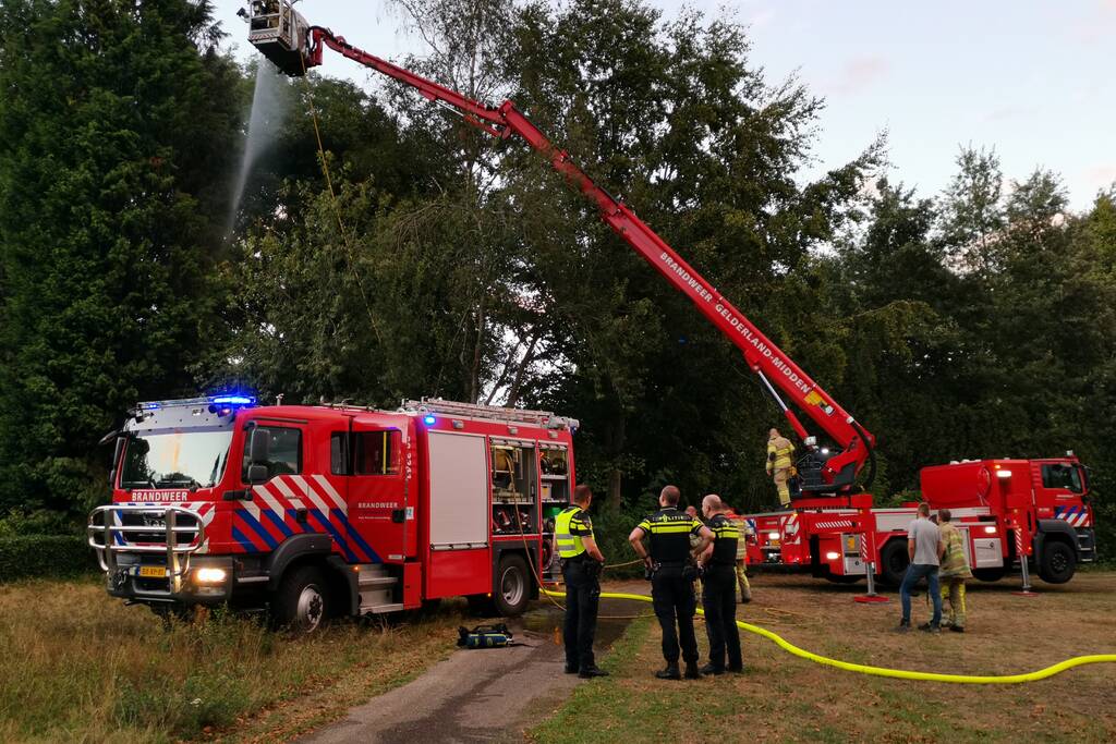 Hoge boom vliegt in brand