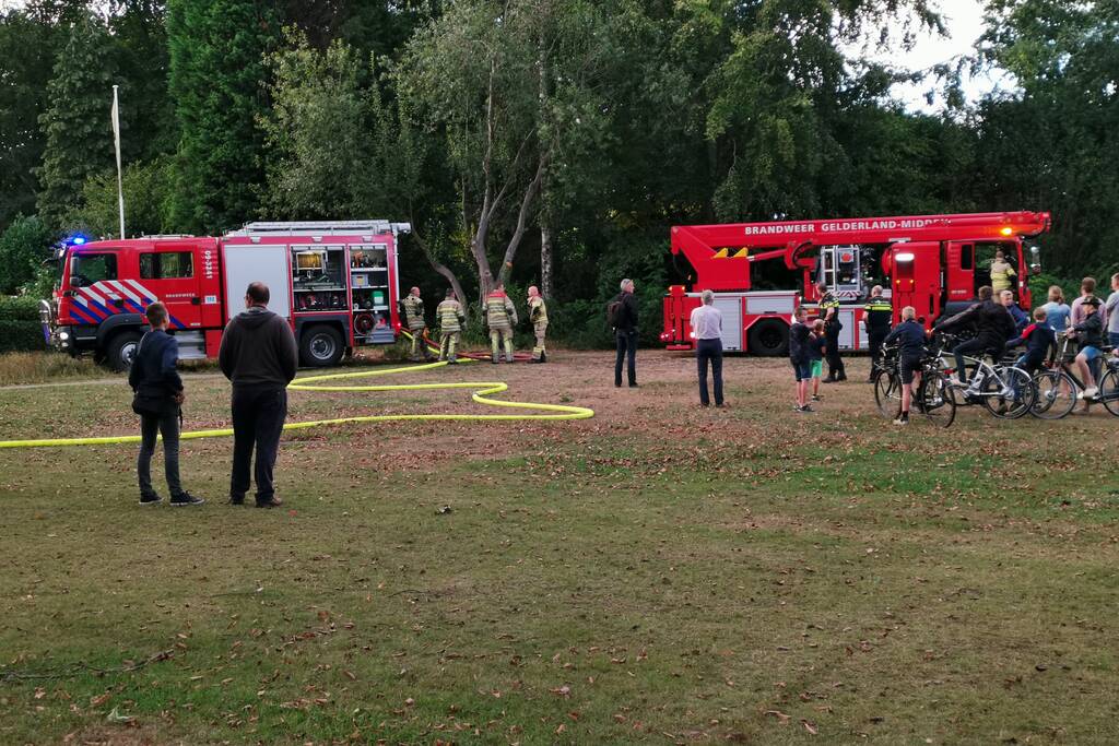 Hoge boom vliegt in brand