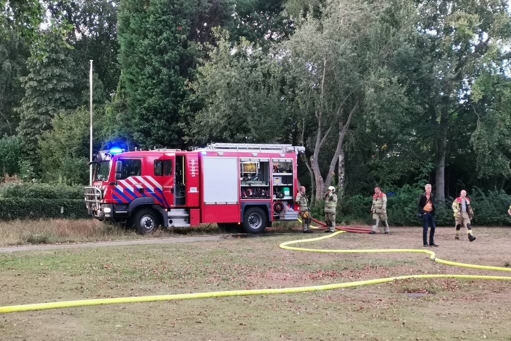 Hoge boom vliegt in brand
