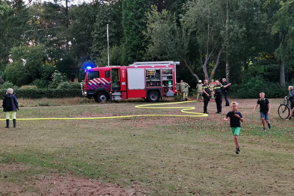 Hoge boom vliegt in brand