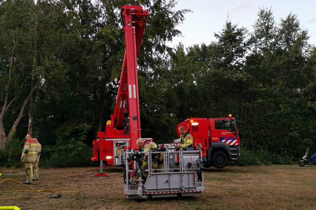 Hoge boom vliegt in brand