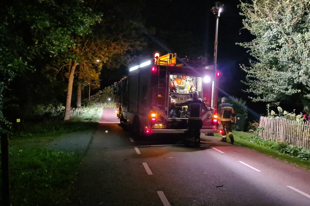 Boom valt op rijbaan