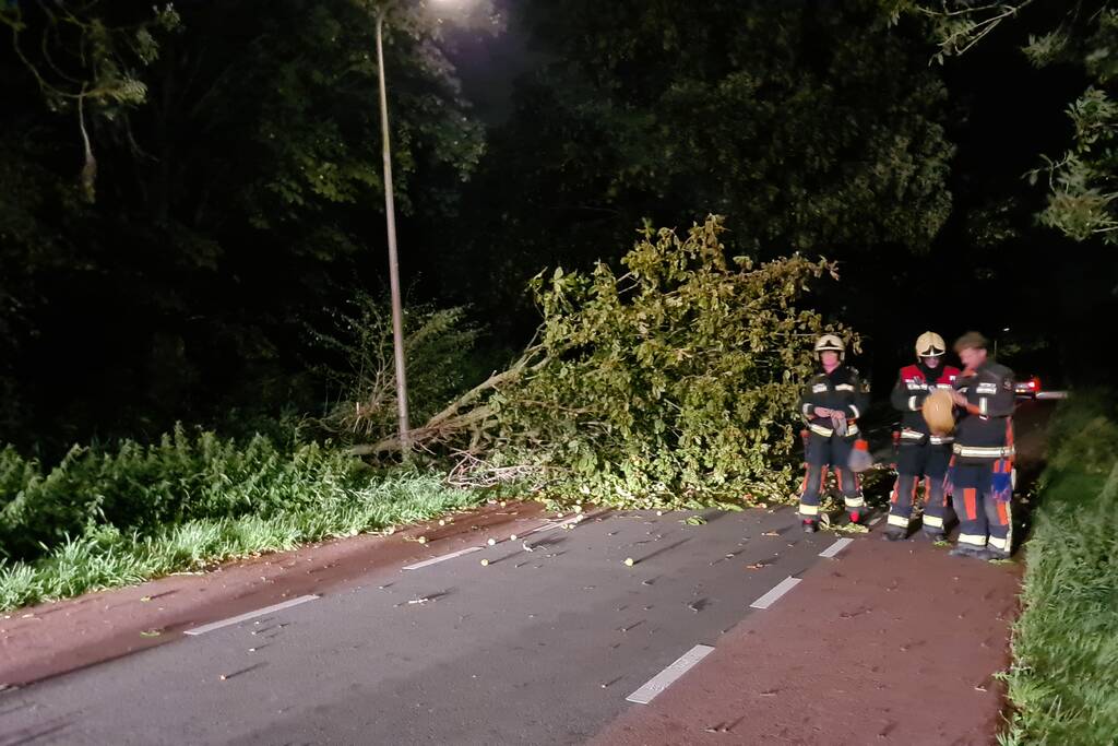 Boom valt op rijbaan
