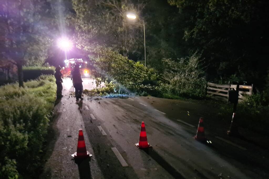 Boom valt op rijbaan