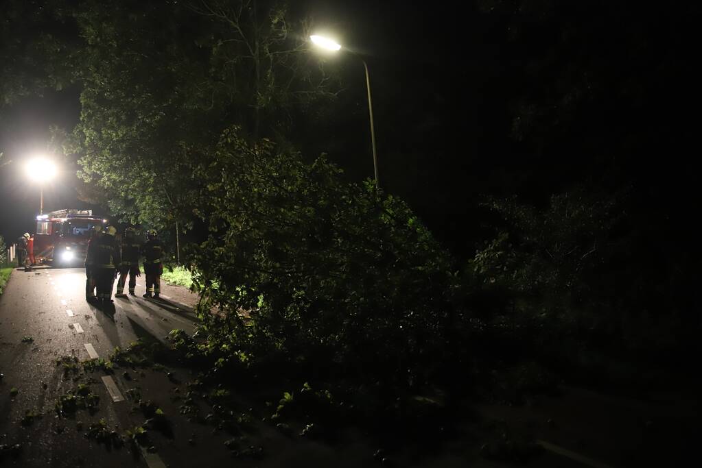 Boom valt op rijbaan