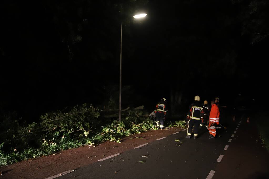 Boom valt op rijbaan