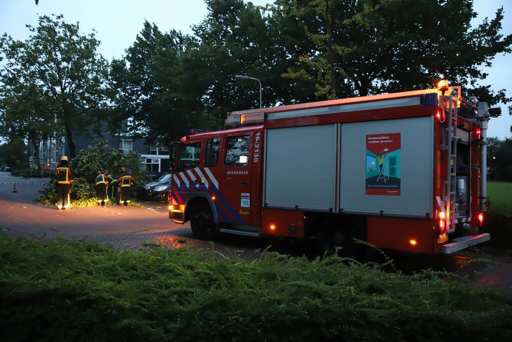Grote tak breekt af belandt tussen twee auto's