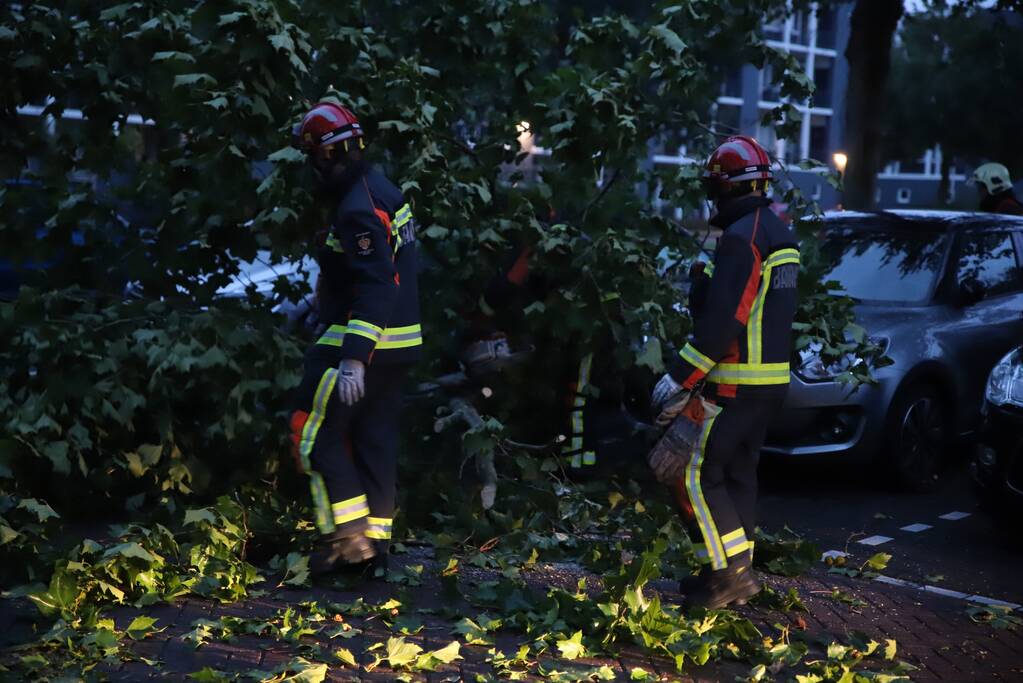 Grote tak breekt af belandt tussen twee auto's
