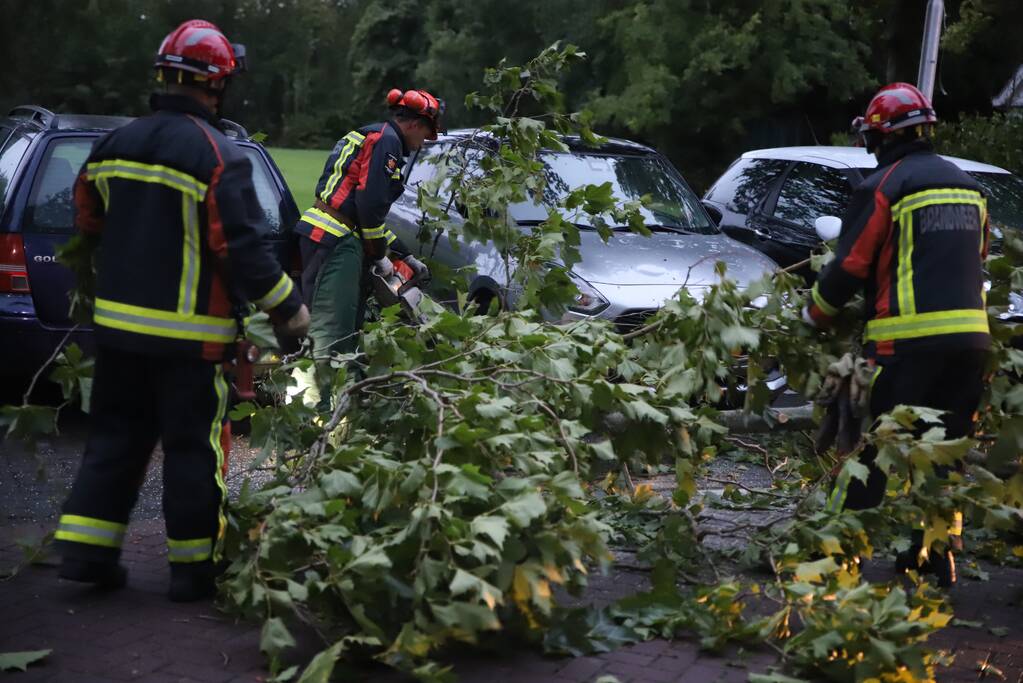 Grote tak breekt af belandt tussen twee auto's