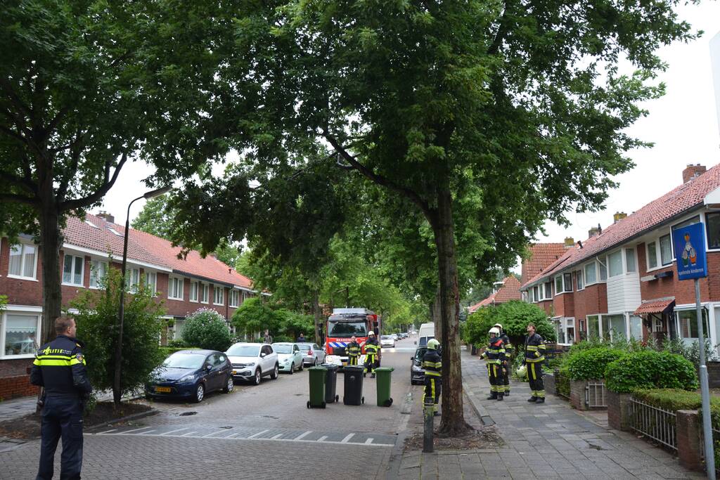 Gevaarlijke hangende takken uit boom gehaald