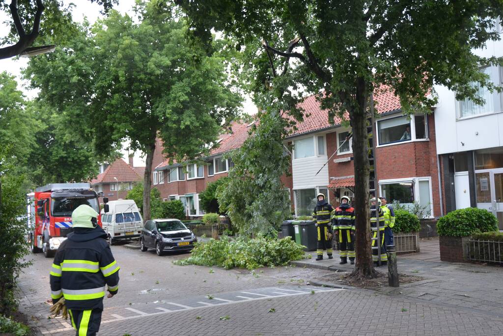 Gevaarlijke hangende takken uit boom gehaald