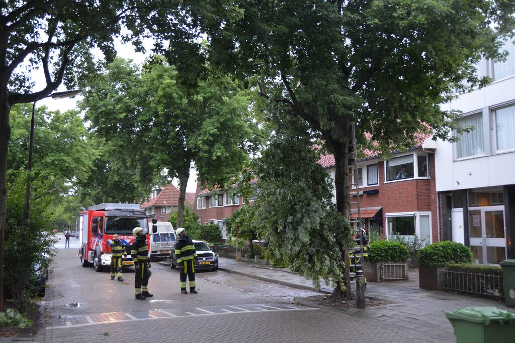 Gevaarlijke hangende takken uit boom gehaald