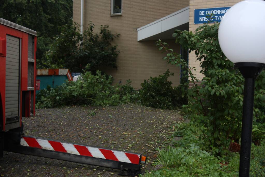 Loshangende takken verwijderd voor ingang