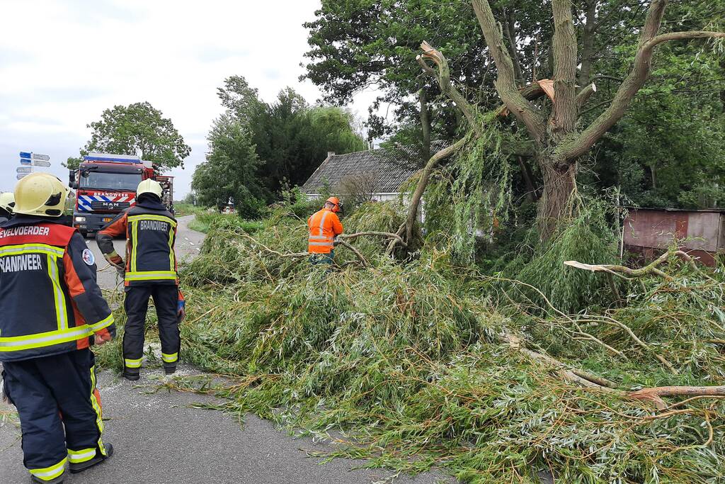 Storm Francis vernielt grote boom