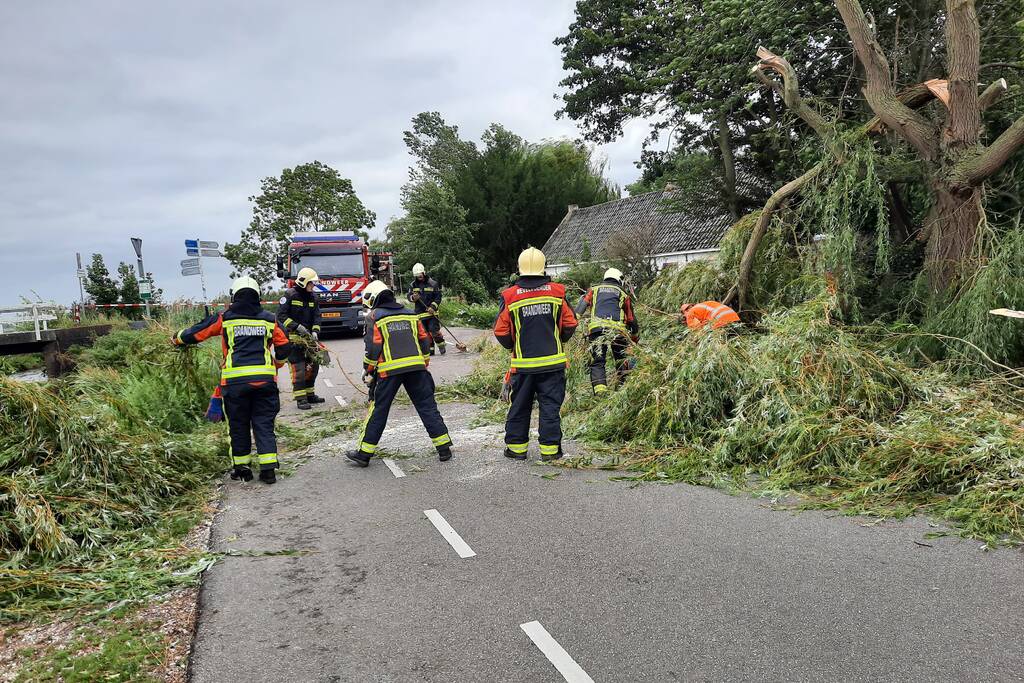 Storm Francis vernielt grote boom