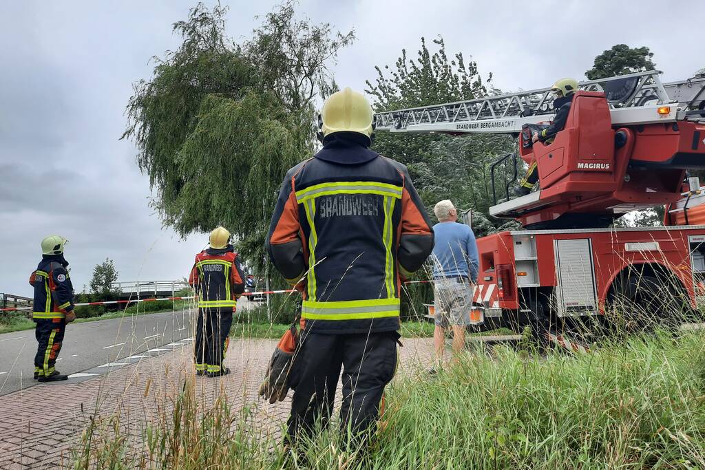 Storm Francis vernielt grote boom